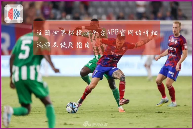 注册世界杯投注平台APP官网的详细流程及使用指南