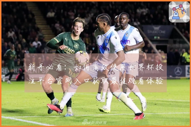 新手必看：如何高效使用世界杯投注平台官网入口获取最佳观看体验