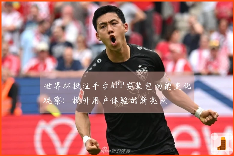 世界杯投注平台APP安装包功能变化观察:提升用户体验的新亮点